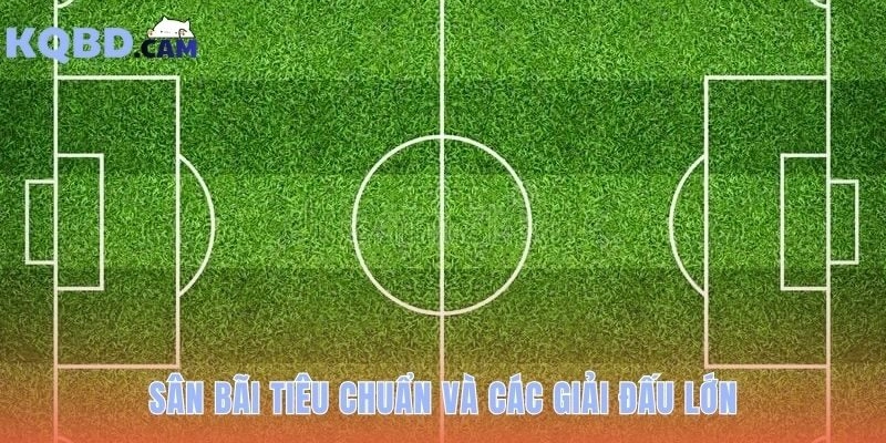 Kiến thức bóng đá về sân bãi FIFA và các giải đấu lớn nhất